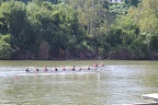 IMG 5429